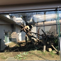Photo taken at Ueno Zoo by mi-ko on 2/23/2019