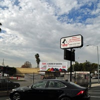 animal am emergency clinic