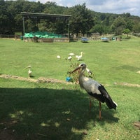 Photo taken at Polonezköy Piknik Park by sabapkm on 7/28/2018