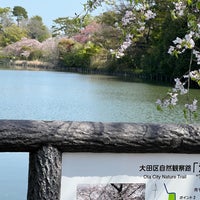 Photo taken at Senzoku Pond by K T. on 4/14/2024
