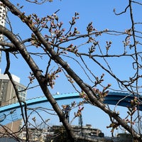 Photo taken at Suzukake Foot Bridge by K T. on 3/30/2024