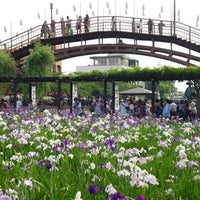 水郷潮来あやめ園 419 Ziyaretcidan 2 Tavsiye