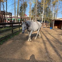Photo taken at Контактный зоопарк Vnukovo outlet village by Алексей П. on 10/3/2021