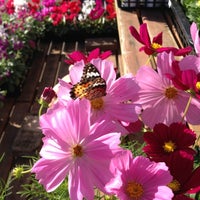 花立花ガーデン Flower Shop In 糟屋郡新宮町