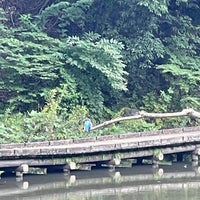 Photo taken at 四季の森公園 by poporoneko on 10/8/2023