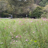 Photo taken at 四季の森公園 by poporoneko on 10/8/2023