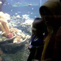 Photo taken at Underwater Theater by Ariefuddin S. on 10/6/2012