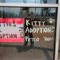Photo taken at Petco by Jaffy T. on 6/8/2013