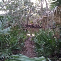 Photo taken at Oscar Scherer State Park by Mike W. on 10/28/2012