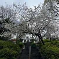 Photo taken at Miyamoto Park by しま(リシオ) on 4/4/2024