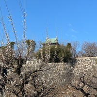 Photo taken at Osaka Castle Plum Orchard by Akihisa I. on 2/12/2024