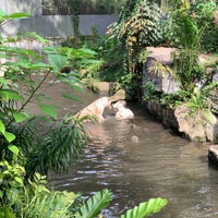 Photo taken at White Tiger Enclosure by Jack L. on 1/17/2021