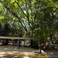 Photo taken at Jardín Botánico Carlos Thays by Jack L. on 3/8/2024
