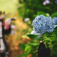 Photo taken at 石手川緑地公園 by VIPER ZERO on 6/19/2019