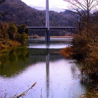 森と湖畔の公園 オートキャンプ場 森と湖畔の公園 オートキャンプ場