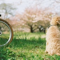 Photo taken at 石手川緑地公園 by VIPER ZERO on 4/22/2020