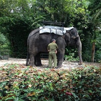 Photo taken at Elephant Ride @ S&amp;#39;pore Zoo by Becky T. on 1/11/2013