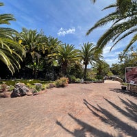 Foto scattata a Oasis Park Fuerteventura da U.P. il 4/12/2022