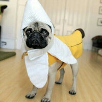 Photo taken at Saanich by Mara B. on 12/31/2015