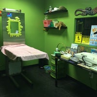paws purrs and exotics animal hospital