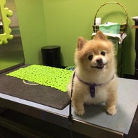 paws purrs and exotics animal hospital