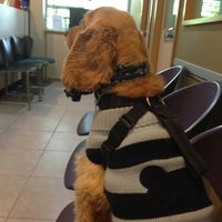Photo taken at Mount Pleasant Animal Hospital by Fiona R. on 12/19/2012