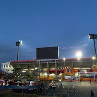 静岡市清水日本平運動公園 清水区村松30 1 静岡市清水日本平運動公園 清水区村松30 1