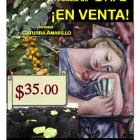 11/7/2014에 Sergio Z.님이 Café-Tienda solidaria &amp;quot;El árbol&amp;quot;에서 찍은 사진