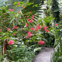 Photo taken at Vijver (De Hortus Botanicus) by Khalid on 9/25/2021
