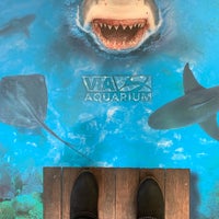 1/24/2019にCryssi L.がVia Aquariumで撮った写真