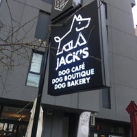 jacks dog bakery