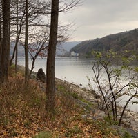 Photo taken at Nami Island by robi a. on 11/9/2023