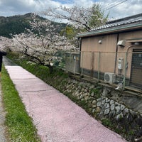 Photo taken at Philosopher&amp;#39;s Path by toriko on 4/19/2024