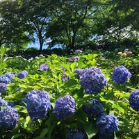 うつぶな公園 Park うつぶな公園 Park