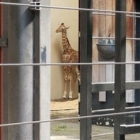 Photo taken at MillerCoors Giraffe Experience by Tom S. on 5/27/2018