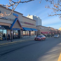 Petland 174th bronx sale
