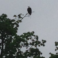 Decorah Eagles' Nest - 1 tip from 54 visitors