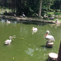 Photo taken at Pelican Cove by Kushal S. on 5/10/2019