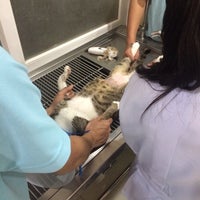Photo taken at โรงพยาบาลสัตว์หมาแมวยิ้มแฉ่ง by Nuntinee M. on 7/2/2014