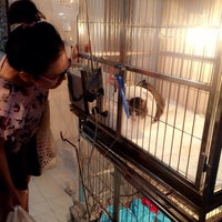 Photo taken at โรงพยาบาลสัตว์หมาแมวยิ้มแฉ่ง by Nuntinee M. on 7/8/2014