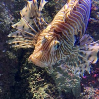 Photo taken at Aquarium by Celes 🌙 on 2/16/2020