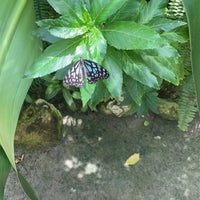 Photo taken at The Butterfly Farm by Chris P. on 7/6/2023