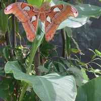 Photo taken at The Butterfly Farm by Chris P. on 7/6/2023