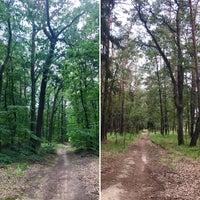 Photo taken at Přírodní park Klánovice-Čihadla by B V. on 8/6/2019