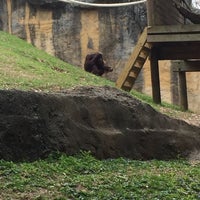 Photo taken at Orangutan Exhibit by Phil D. on 3/22/2017