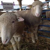 Photo taken at Maryland Sheep and Wool Festival by Conni T. on 5/3/2015