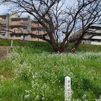 Photo taken at 多摩川河川敷 by Anna S. on 3/12/2023