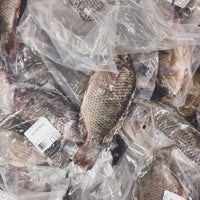 Anthony S No Frills Parkdale Toronto On