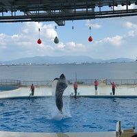 Photo taken at Marine World Uminonakamichi by IMM S. on 10/15/2023