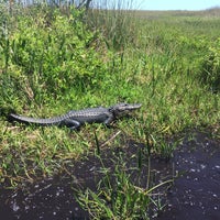 Photo taken at Everglades River of Grass Adventures by Ivan B. on 5/7/2017